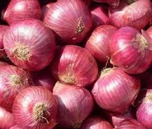 INDIAN FRESH RED NASIK ONIONS